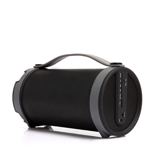 Accelerate: Indoor & Outdoor Party Speaker