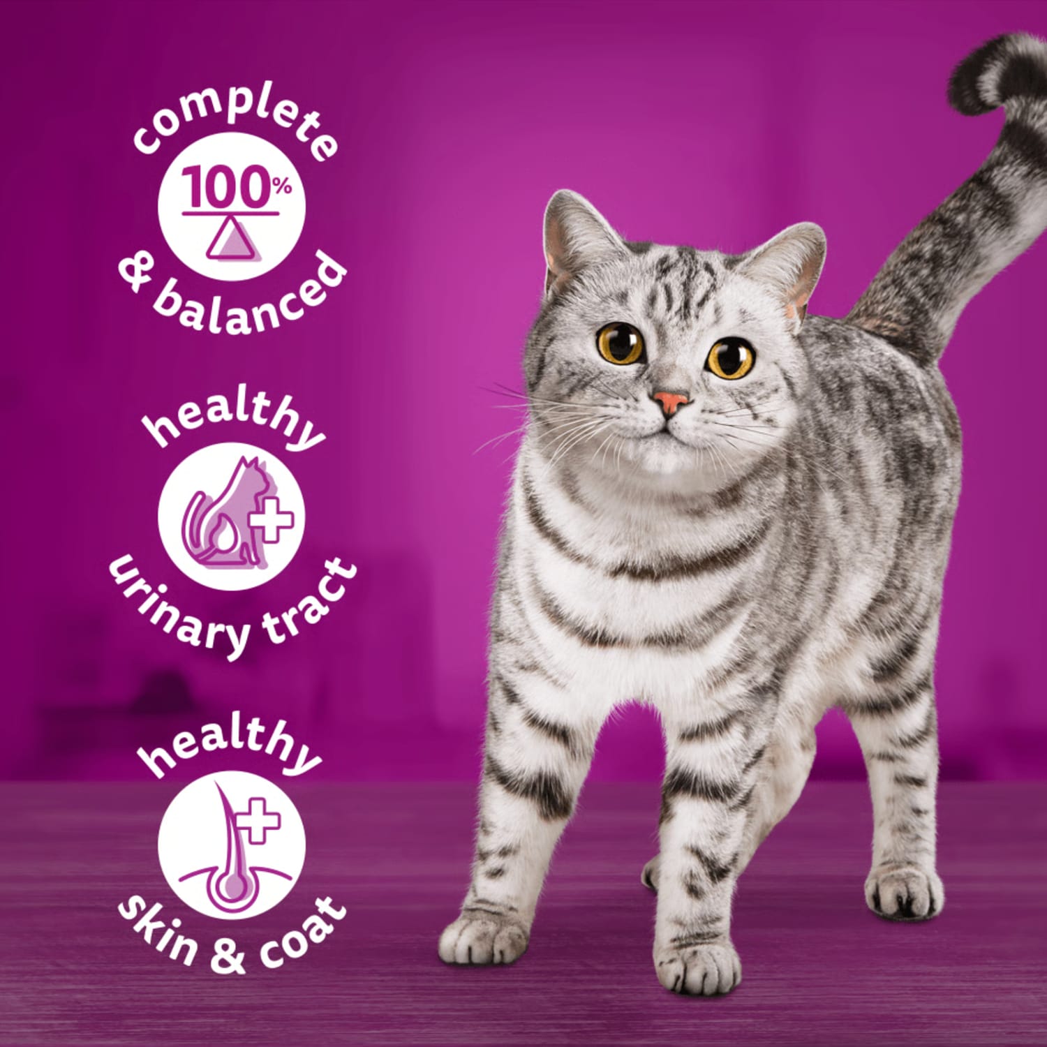 Whiskas Ocean Menu In Jelly 1+ Adult Wet Cat Food Tins 6x400g, product image 3